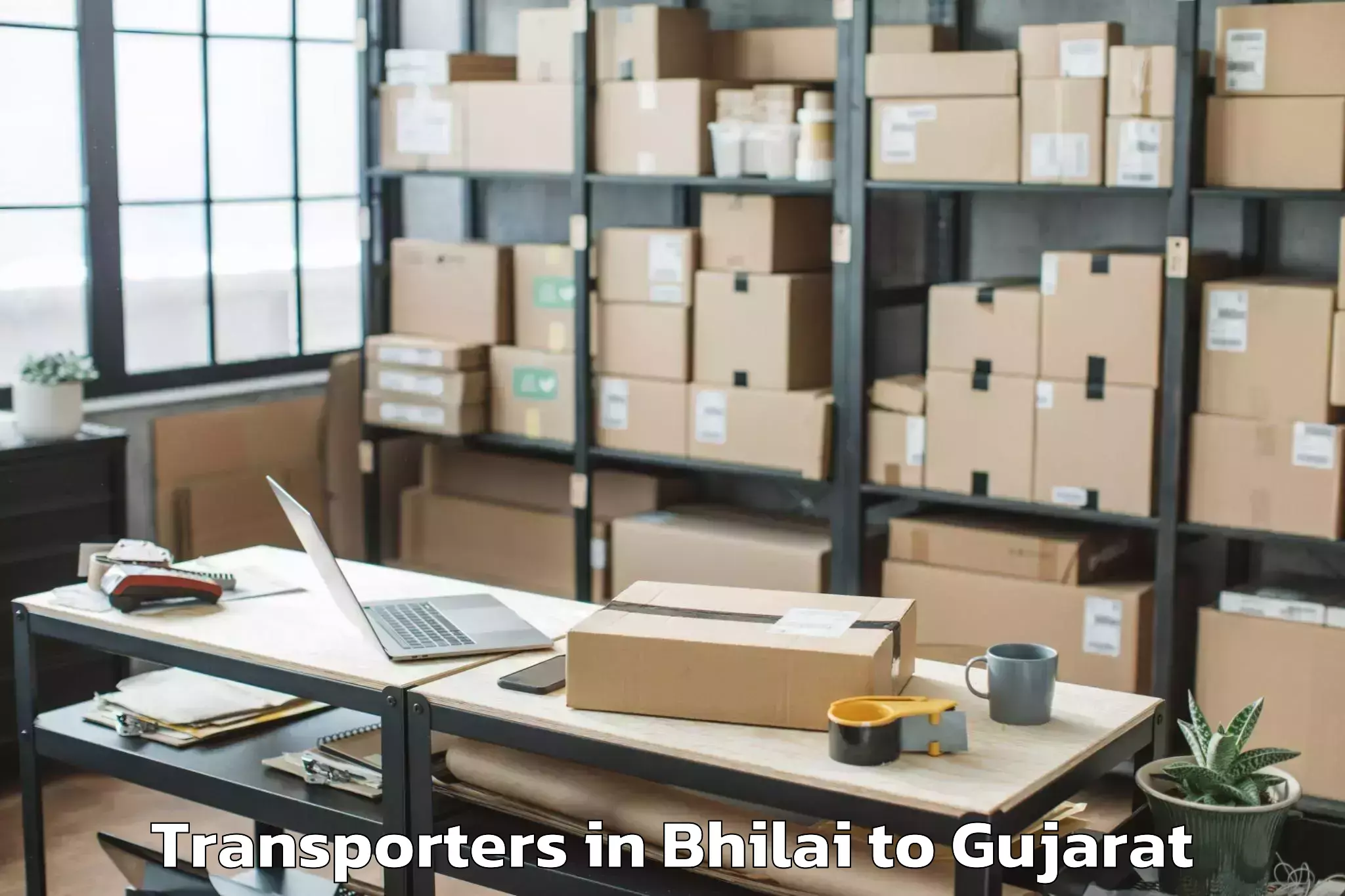 Top Bhilai to Navsari Agricultural Universit Transporters Available